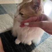 ヒメ日記 2025/05/24 18:48 投稿 ゆうか 待ちナビ