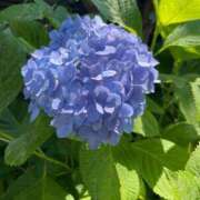 ヒメ日記 2025/06/01 13:45 投稿 ゆうか 待ちナビ