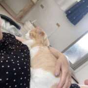 ヒメ日記 2025/06/29 16:15 投稿 ゆうか 待ちナビ