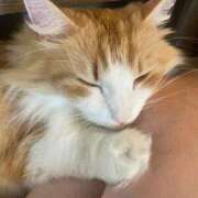 ヒメ日記 2025/09/06 10:35 投稿 ゆうか 待ちナビ