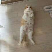 ヒメ日記 2025/09/30 11:05 投稿 ゆうか 待ちナビ