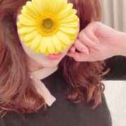 ヒメ日記 2025/10/20 10:55 投稿 ゆうか 待ちナビ