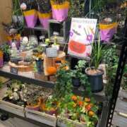 ヒメ日記 2025/10/30 17:36 投稿 ゆうか 待ちナビ