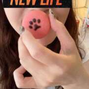 ヒメ日記 2025/11/12 10:40 投稿 ゆうか 待ちナビ