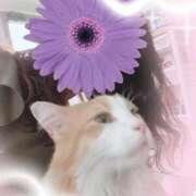 ヒメ日記 2025/11/14 22:40 投稿 ゆうか 待ちナビ