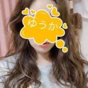 ヒメ日記 2025/11/21 10:40 投稿 ゆうか 待ちナビ