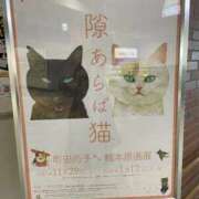 ヒメ日記 2025/11/22 12:00 投稿 ゆうか 待ちナビ