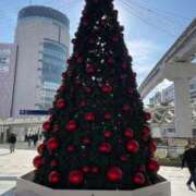 ヒメ日記 2025/12/11 16:45 投稿 ゆうか 待ちナビ