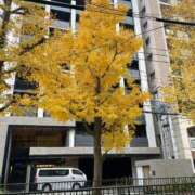 ヒメ日記 2025/12/18 10:38 投稿 ゆうか 待ちナビ