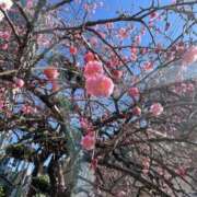 ヒメ日記 2026/02/12 14:45 投稿 ゆうか 待ちナビ