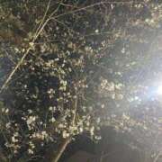 ヒメ日記 2026/03/30 10:26 投稿 ゆうか 待ちナビ