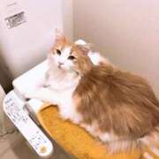 ヒメ日記 2026/04/19 10:15 投稿 ゆうか 待ちナビ