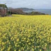 ヒメ日記 2026/04/21 10:20 投稿 ゆうか 待ちナビ