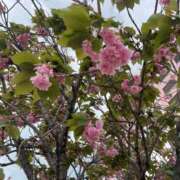 ヒメ日記 2026/04/21 19:46 投稿 ゆうか 待ちナビ