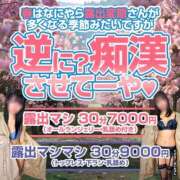 ヒメ日記 2025/04/10 08:01 投稿 めぐみ かりんと大宮
