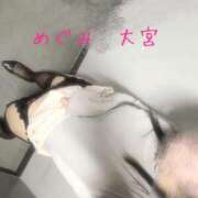 ヒメ日記 2025/05/06 10:31 投稿 めぐみ かりんと大宮