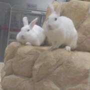 みなみ 🈳️28日 池袋角海老