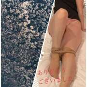 ヒメ日記 2025/04/11 18:36 投稿 三井　れい 昼下がりの情事