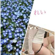 ヒメ日記 2025/04/30 21:51 投稿 三井　れい 昼下がりの情事