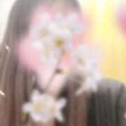 さくら こんばんは One More奥様　横浜関内店