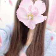 さくら こんばんは One More奥様　横浜関内店