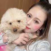 ヒメ日記 2025/02/19 11:58 投稿 クラリス SKY(スカイ)