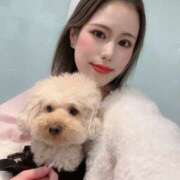 ヒメ日記 2025/04/06 09:19 投稿 クラリス SKY(スカイ)