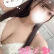 ヒメ日記 2025/01/20 23:41 投稿 みお 秋葉原コスプレ学園(AKG)