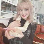 猫宮みけ(単体AV女優) (ⓞꈊⓞ)ﾉ“ﾊｲﾖ~~~ プレイボーイ　アゲハ