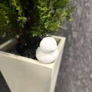 ヒメ日記 2024/12/19 14:27 投稿 静間みこ お姉さんCLUB