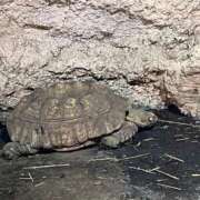 ヒメ日記 2025/01/21 14:34 投稿 静間みこ お姉さんCLUB