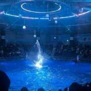 ヒメ日記 2025/02/24 13:35 投稿 静間みこ お姉さんCLUB