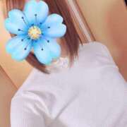 ヒメ日記 2025/04/05 15:04 投稿 静間みこ お姉さんCLUB