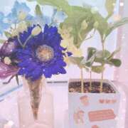 ヒメ日記 2025/04/06 10:02 投稿 あみ 風俗城