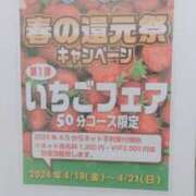 ヒメ日記 2024/04/21 18:34 投稿 ゆうり チューリップガールズ福井別館