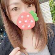 ヒメ日記 2025/05/01 19:14 投稿 ひかり チューリップ福井別館