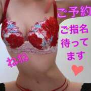 ヒメ日記 2024/12/11 09:29 投稿 ねね チューリップ福井別館