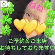 ヒメ日記 2024/12/30 19:14 投稿 ねね チューリップ福井別館