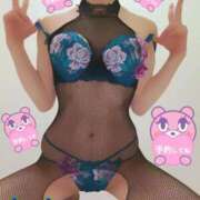 ヒメ日記 2025/01/08 05:34 投稿 ねね チューリップ福井別館