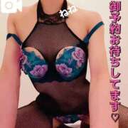 ヒメ日記 2025/01/09 07:34 投稿 ねね チューリップ福井別館