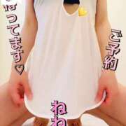 ヒメ日記 2025/01/29 09:34 投稿 ねね チューリップ福井別館