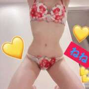 ヒメ日記 2025/01/31 07:44 投稿 ねね チューリップ福井別館