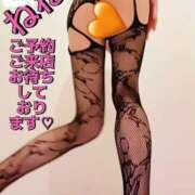 ヒメ日記 2025/03/01 08:04 投稿 ねね チューリップ福井別館