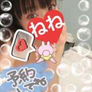 ヒメ日記 2025/03/30 07:54 投稿 ねね チューリップ福井別館