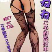 ヒメ日記 2025/05/19 09:44 投稿 ねね チューリップ福井別館