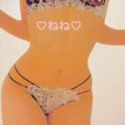 ヒメ日記 2025/05/20 10:44 投稿 ねね チューリップ福井別館