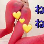 ヒメ日記 2025/09/01 01:04 投稿 ねね チューリップ福井別館