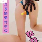 ヒメ日記 2025/10/29 10:24 投稿 ねね チューリップ福井別館