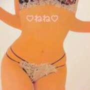 ヒメ日記 2025/10/31 11:45 投稿 ねね チューリップ福井別館