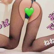 ヒメ日記 2025/11/01 01:44 投稿 ねね チューリップ福井別館